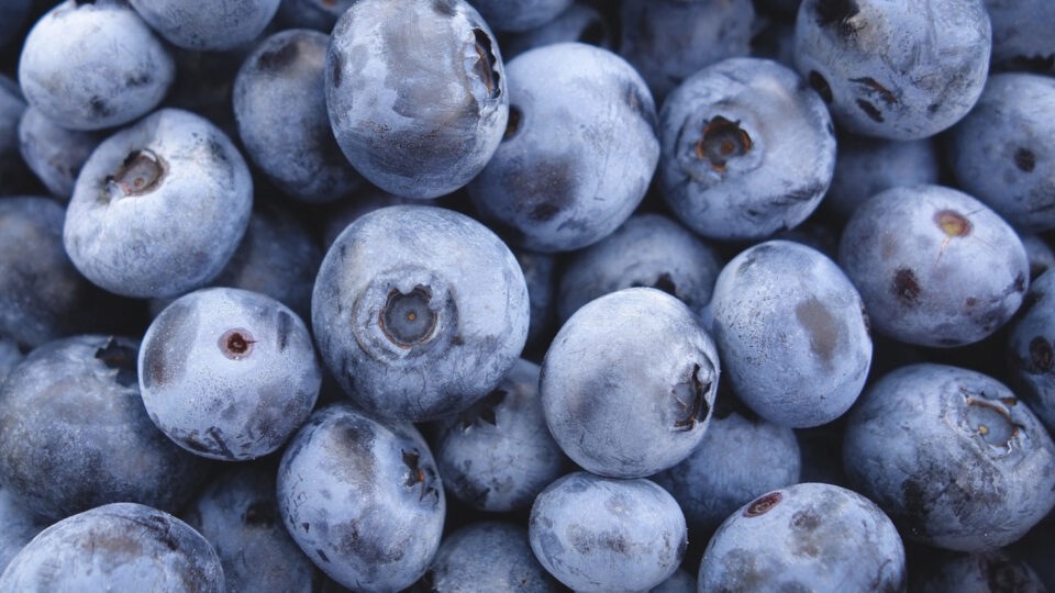 Blueberry Blocking Effects of Yogurt
