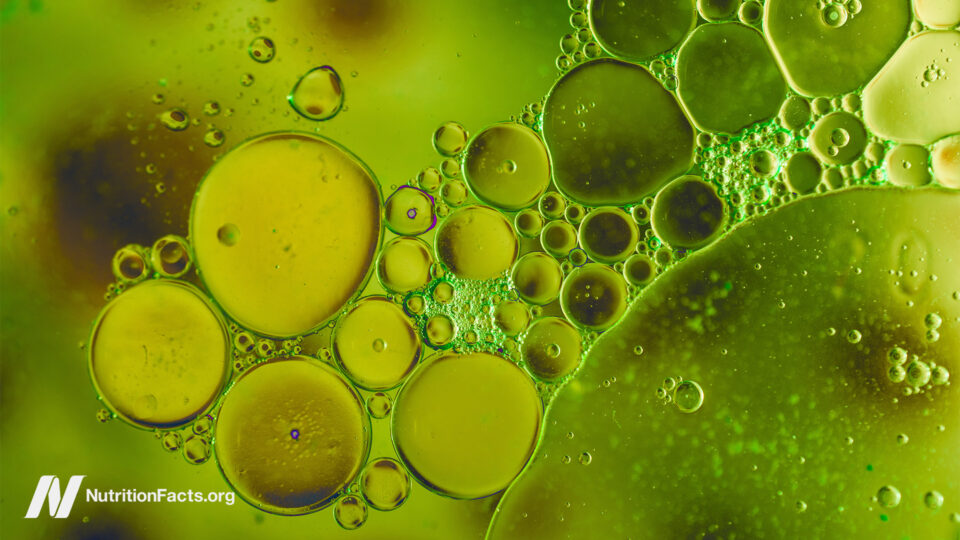 Are Carboxymethylcellulose, Polysorbate 80, and Other Emulsifiers Safe? 