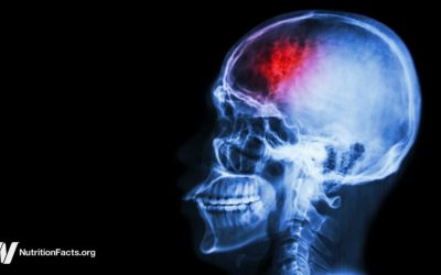 Fasting and Plant-Based Diets for Migraines and Traumatic Brain Injuries