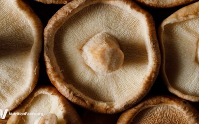 Cancer Survival and Medicinal Mushrooms
