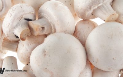 Prostate Cancer and Mushrooms