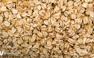 Mold Toxins in Cereals, Herbs, Spices, and Wine