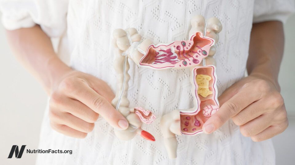 Which Foods Help a Leaky Gut?