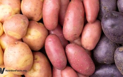 Which Potato Is the Most Nutritious?