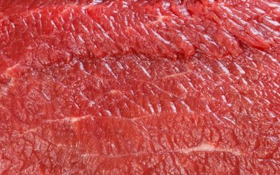 The Link Between Breast Cancer and a Virus in Meat and Dairy