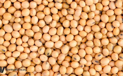 Does Less Protein Increase FGF21 for Longevity?