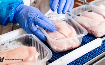 How Big Is the Cancer Risk from Processed Meat?