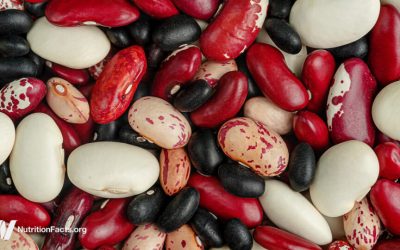 Which Beans Best Block the Spread of Cancer?