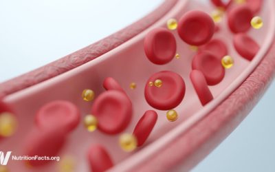 How a Single Meal Can Cripple Your Arteries and Lungs