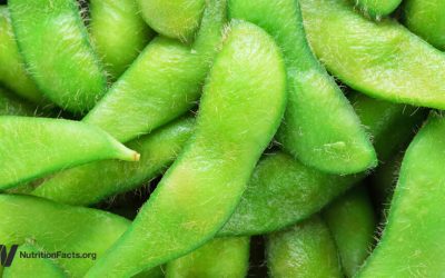 The Protein Debate: Why Source Matters More Than Amount