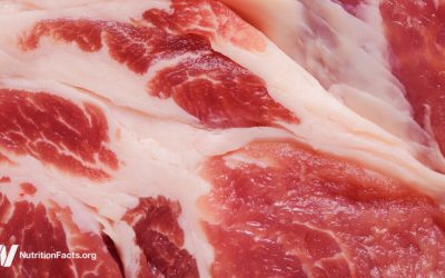 The Meat Papers Contradicted Their Own Data