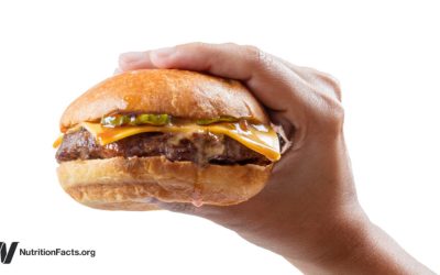 How Many Minutes of Life Does a Burger Cost?