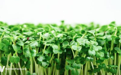 The Best Foods to Fight H. Pylori